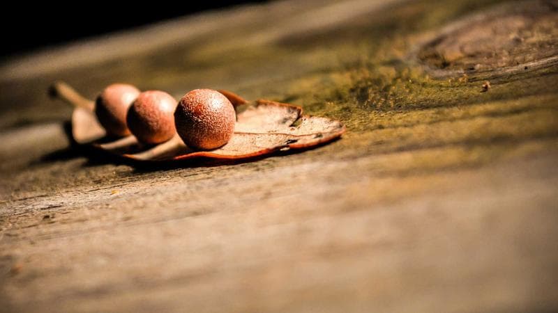 ওটিটি প্ল্যাটফর্মে ধামাকা সবার নজরে (21)