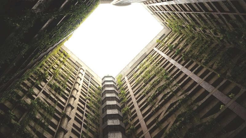 নির্বাচনের প্রস্তুতি সফলভাবে সম্পন্ন (11)