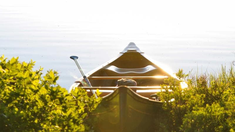 ঈদের নাটক নিয়ে বড় খবর (12)