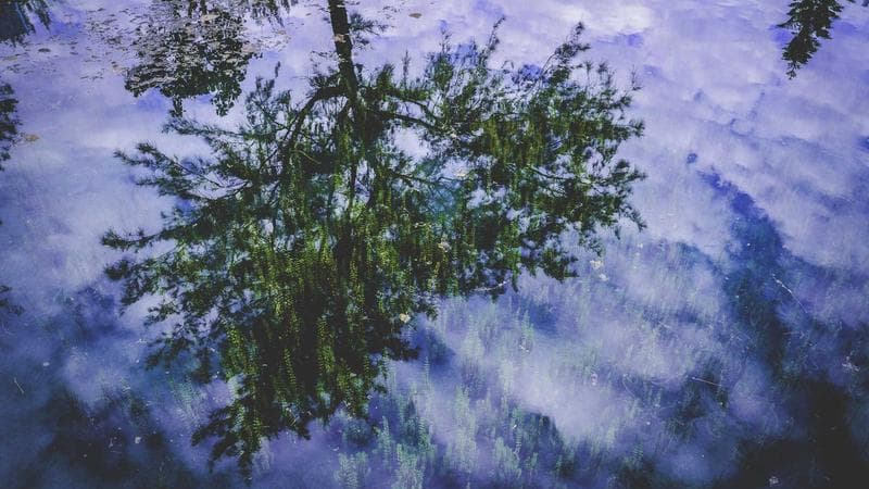 চ্যাম্পিয়ন্স ট্রফি নিয়ে বড় খবর (76)