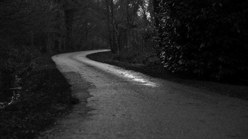 রাশিয়া-ইউক্রেন যুদ্ধ নিয়ে নতুন বিতর্ক (41)