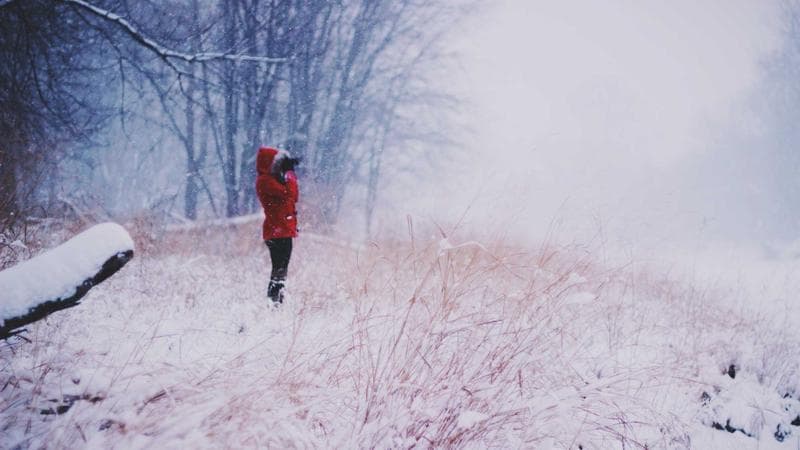শাকিবের নতুন লুক সফলভাবে সম্পন্ন (83)