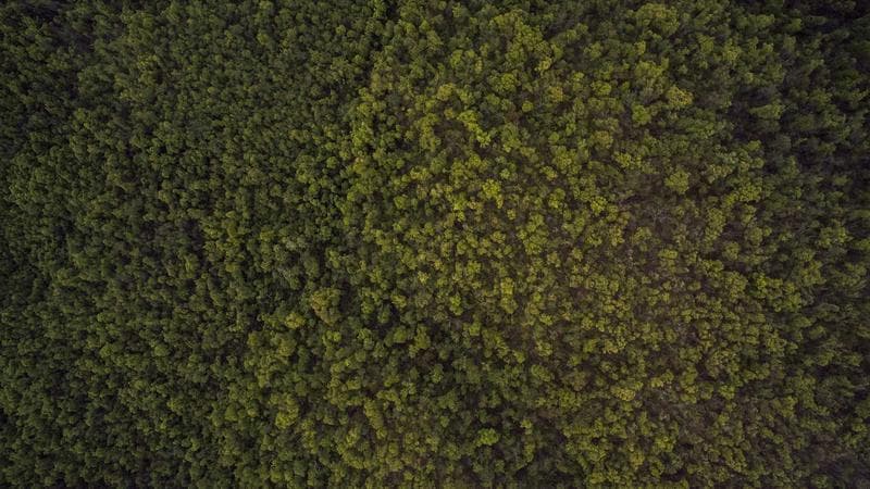 বাংলাদেশ দলের হার নিয়ে আলোচনা তুঙ্গে (72)