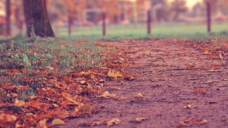 ফেসবুকের নতুন ফিচার সবার নজরে (29)