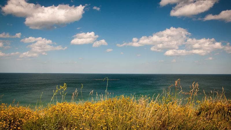 পোশাক রপ্তানি নিয়ে বড় খবর (12)