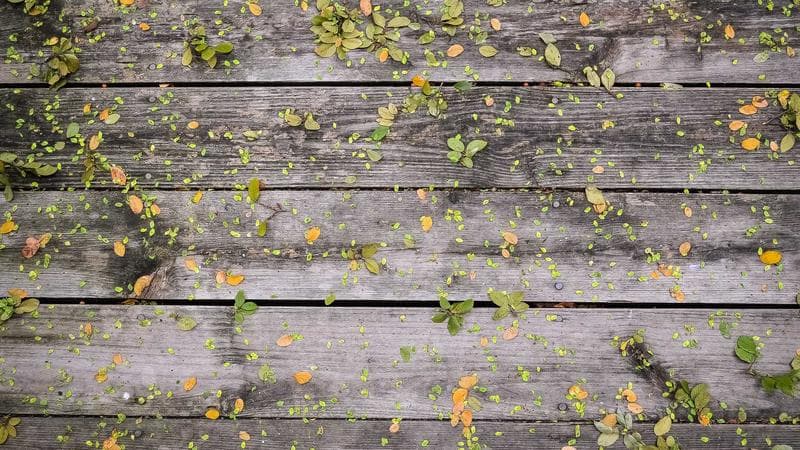 সরকারের নতুন নিয়ে আলোচনা তুঙ্গে (96)