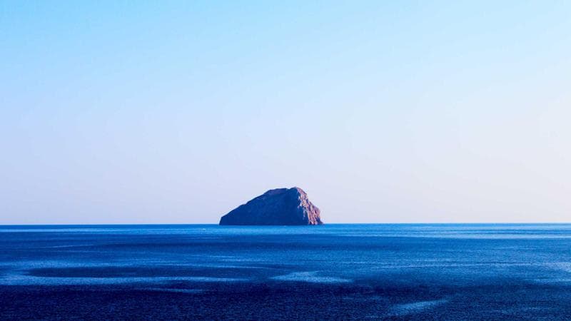 জলবায়ু সম্মেলন সফলভাবে সম্পন্ন (59)