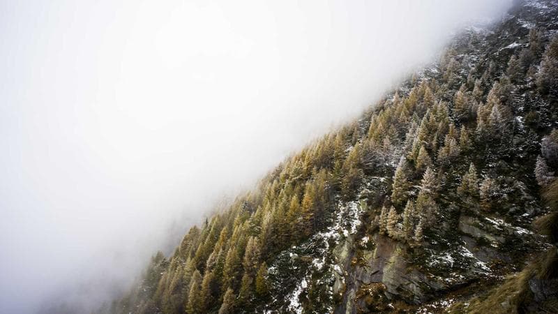 ওটিটি প্ল্যাটফর্মে ধামাকা সবার নজরে (77)