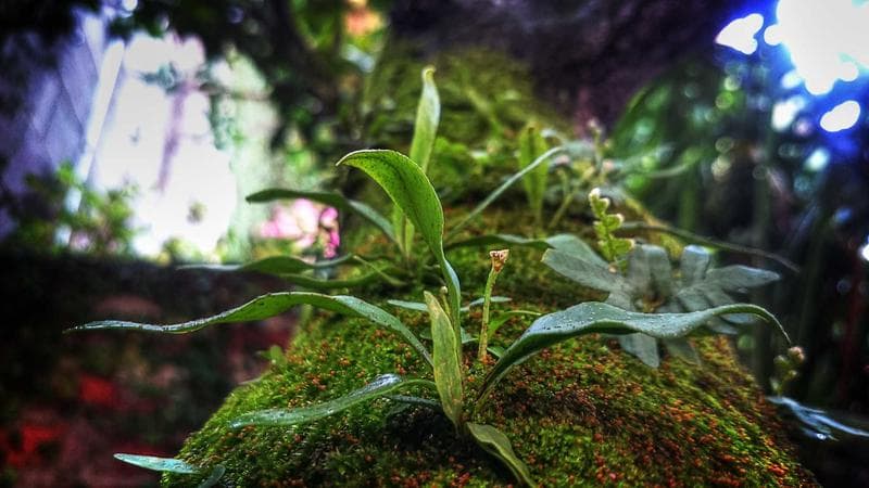 বাজরে দাম বেড়েছে নিয়ে আলোচনা তুঙ্গে (88)