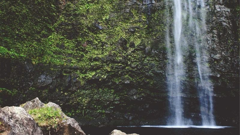 বাংলাদেশ দলের হার নিয়ে আলোচনা তুঙ্গে (56)