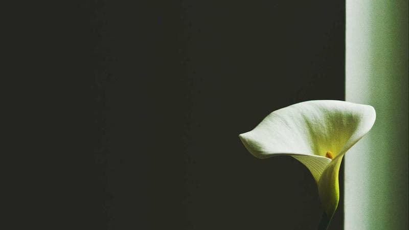 প্রযুক্তি বিষয়ক নতুন খবর 1