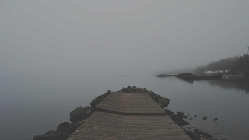 প্রযুক্তি বিষয়ক নতুন খবর 2