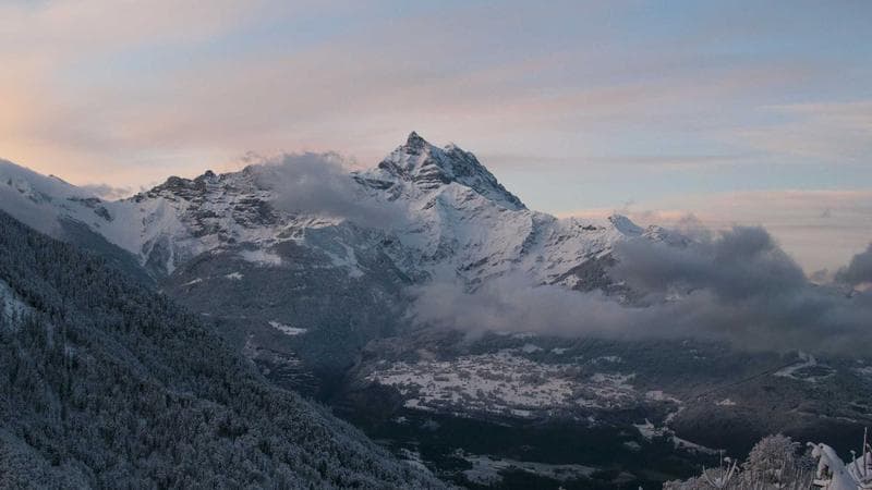 চাকরি বিষয়ক নতুন খবর 5