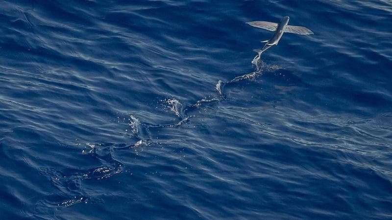 সিংগেল রিলিজ নিয়ে আলোচনা তুঙ্গে (32)