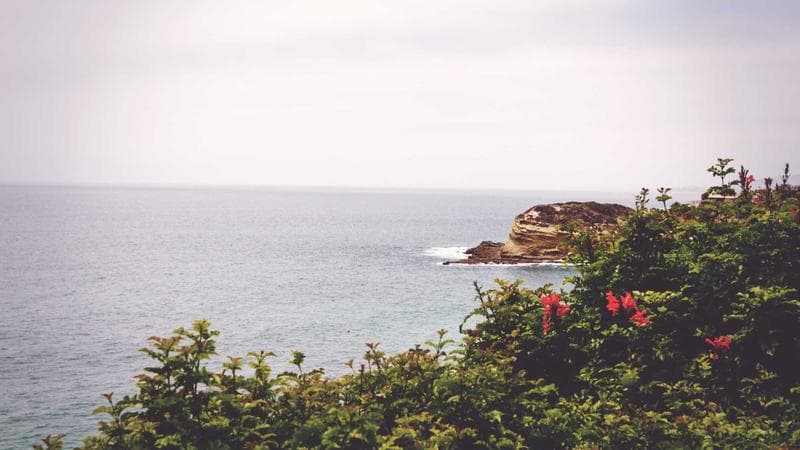 বাংলাদেশে ফাইভ-জি নিয়ে সংশয় (62)