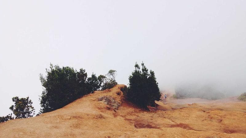 মার্কিন নির্বাচনের হাওয়া নিয়ে সাধারণ মানুষের মতামত (26)