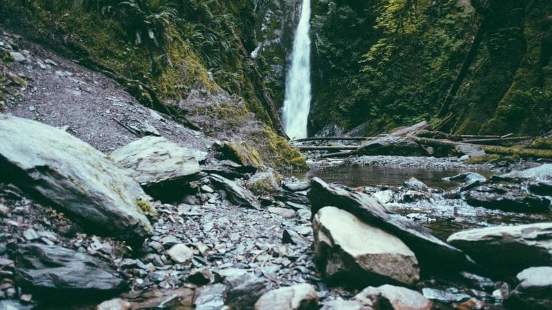 কানের উৎসবে বাংলাদেশ নিয়ে সাধারণ মানুষের মতামত (82)