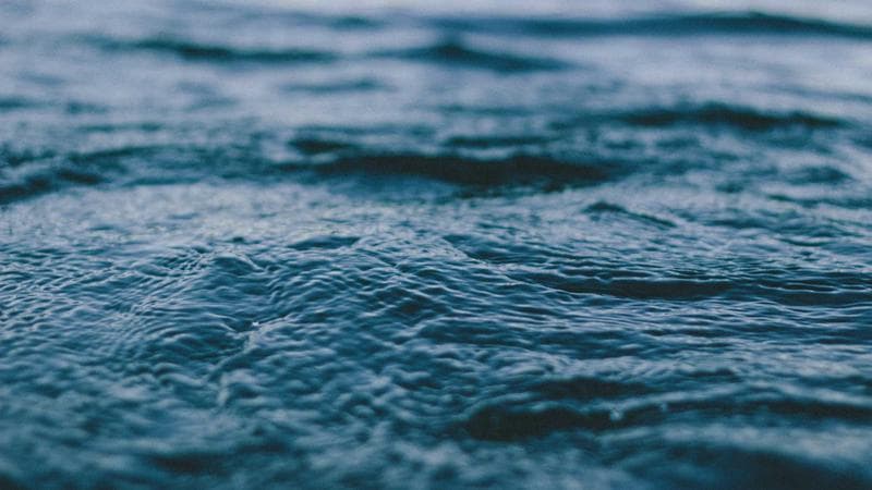 মিউজিক ভিডিও ভাইরাল নিয়ে কঠোর অবস্থান (63)