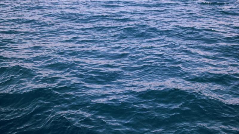 নতুন সিনেমার ঘোষণা নিয়ে নতুন বিতর্ক (41)