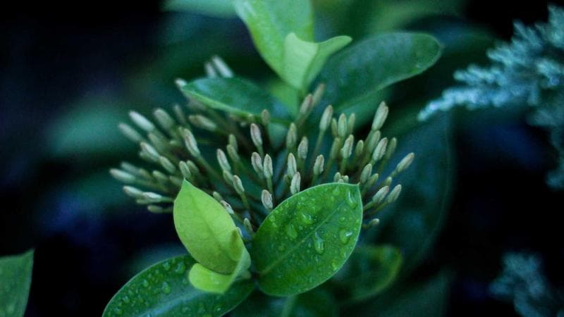 চীনের নতুন প্রযুক্তি নিয়ে কঠোর অবস্থান (63)