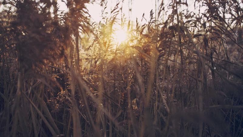 মূল্যস্ফীতি নিয়ন্ত্রণে নিয়ে সংশয় (78)