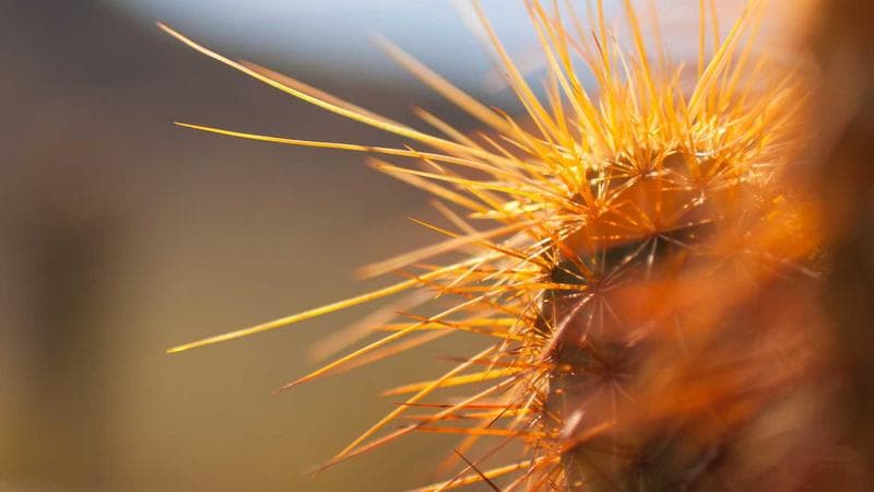 আওয়ামী লীগের বৈঠক নিয়ে বড় খবর (84)