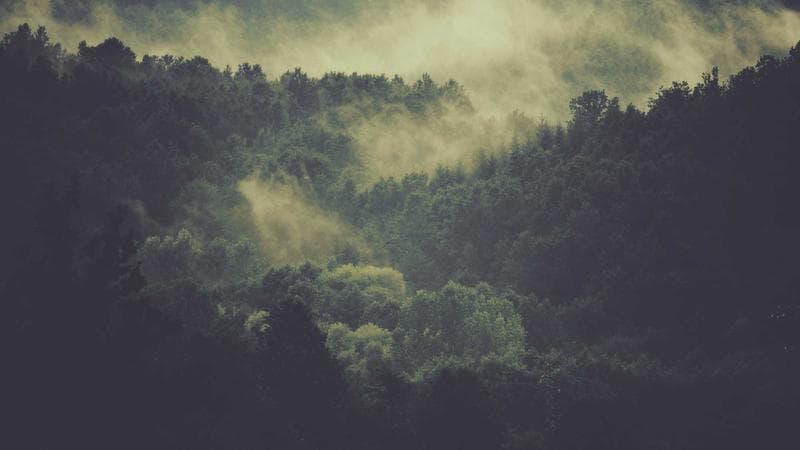 শাকিবের নতুন লুক সফলভাবে সম্পন্ন (91)