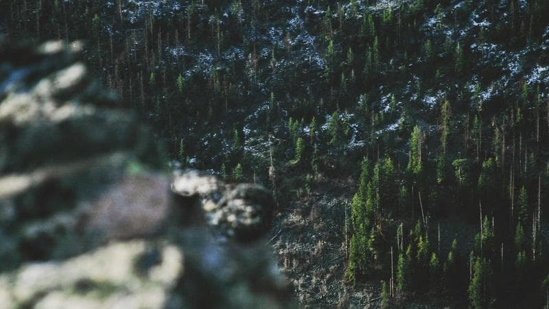 মন্ত্রণালয়ের সিদ্ধান্ত নিয়ে সংশয় (62)