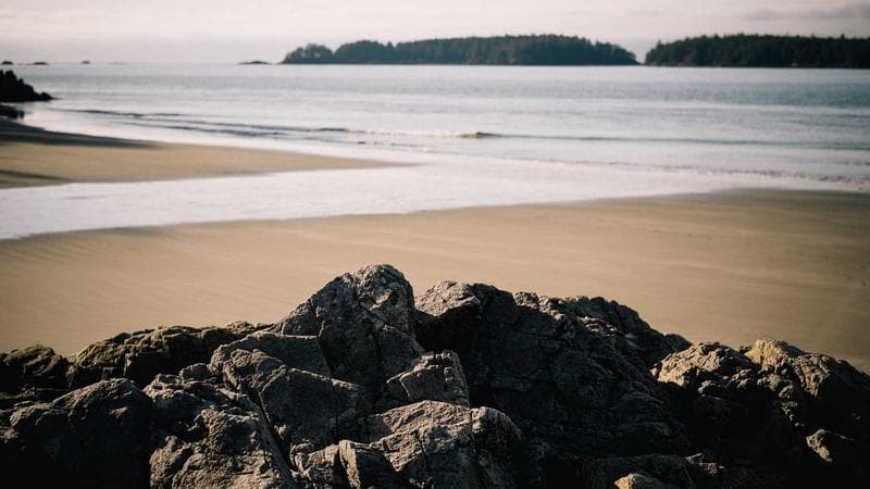 ইলেকট্রিক গাড়ি নিয়ে বড় খবর (76)