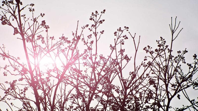 মূল্যস্ফীতি নিয়ন্ত্রণে নিয়ে সংশয় (94)