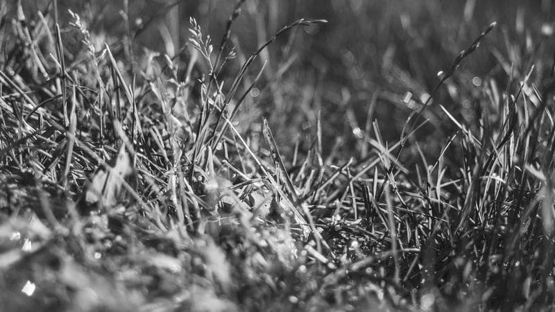 নতুন সিনেমার ঘোষণা নিয়ে নতুন বিতর্ক (1)