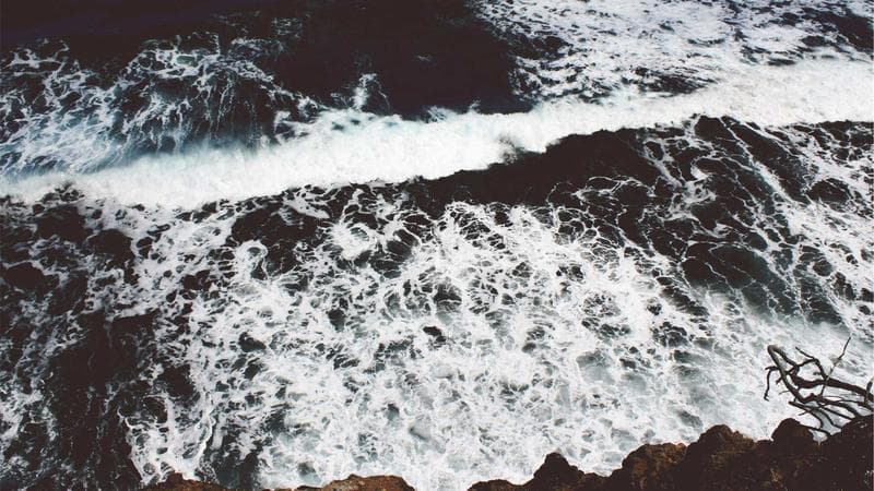 পুরস্কার জিতলেন জয়া নিয়ে সংশয় (86)