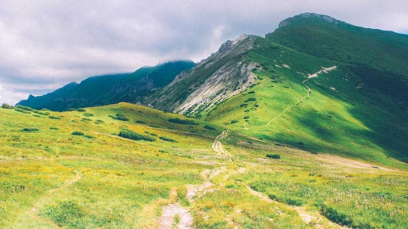 সিংগেল রিলিজ নিয়ে আলোচনা তুঙ্গে (48)