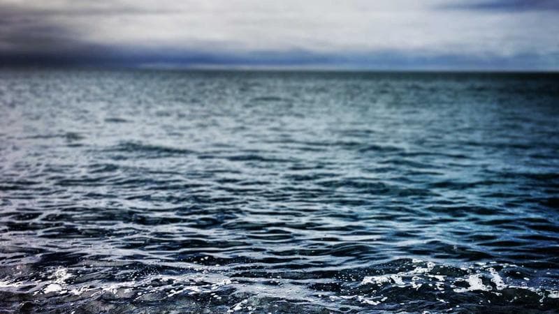 বাজরে দাম বেড়েছে নিয়ে আলোচনা তুঙ্গে (72)