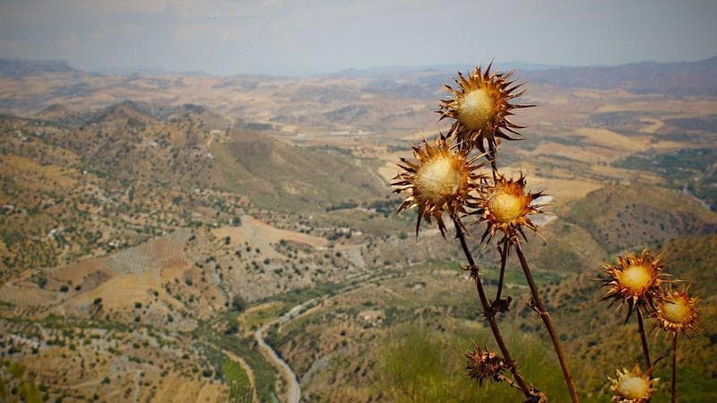 সরকারের নতুন নিয়ে আলোচনা তুঙ্গে (64)