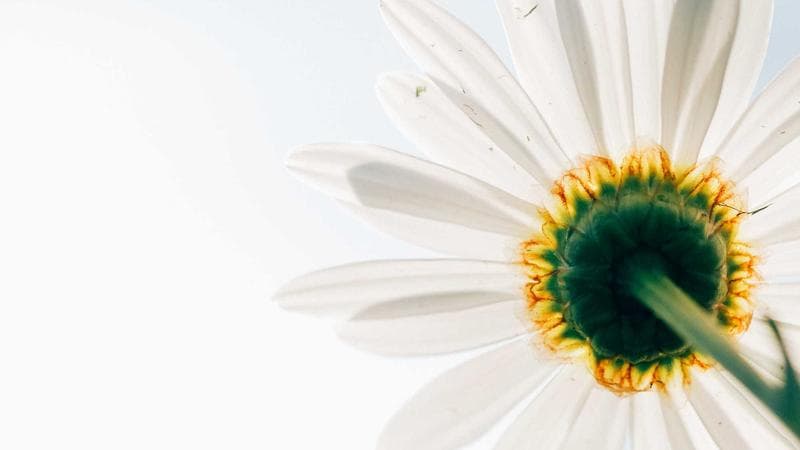 রাশিয়া-ইউক্রেন যুদ্ধ নিয়ে নতুন বিতর্ক (1)