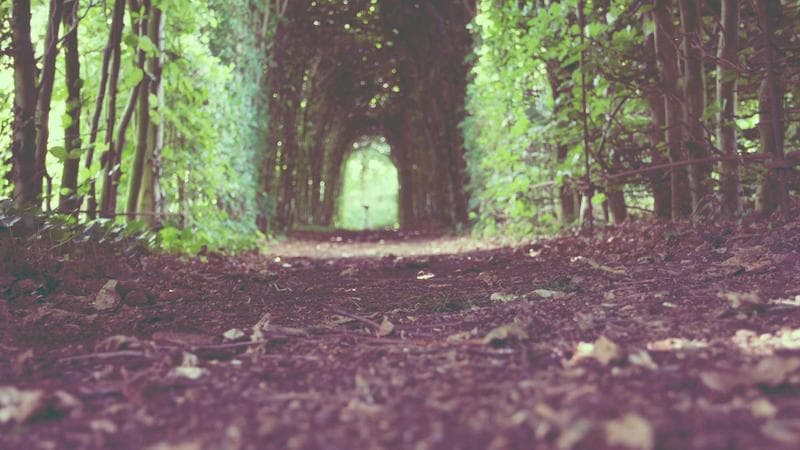 আওয়ামী লীগের বৈঠক নিয়ে বড় খবর (28)