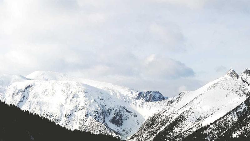 পুরস্কার জিতলেন জয়া নিয়ে সংশয় (30)