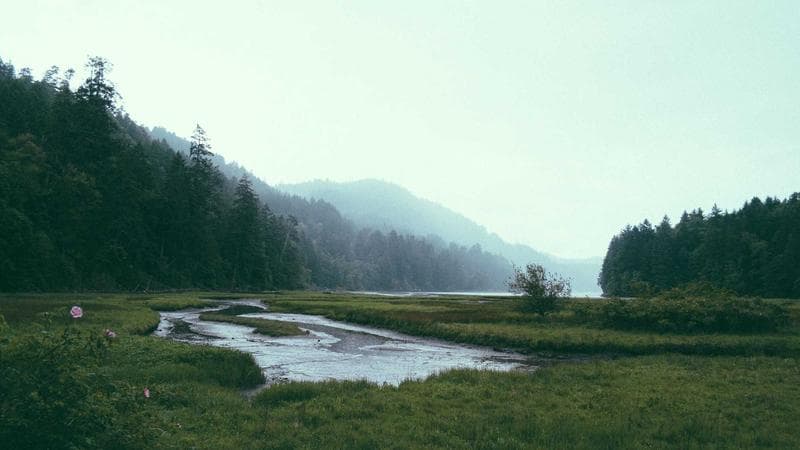 সহিংসতার প্রতিবাদে নিয়ে কঠোর অবস্থান (47)