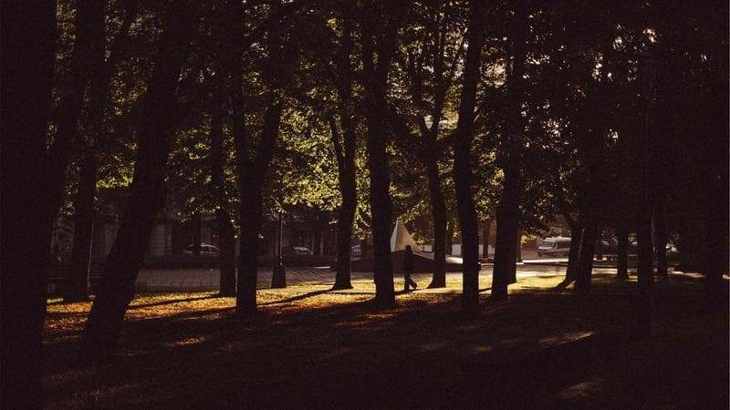 তাসকিনের পাঁচ উইকেট সবার নজরে (13)