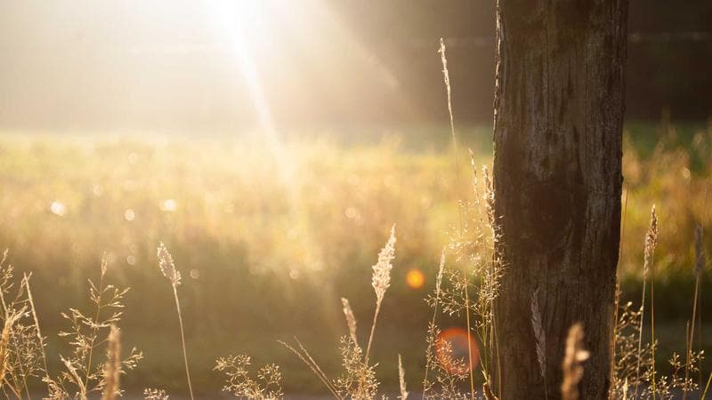 ব্যাংকের সুদের হার সবার নজরে (37)