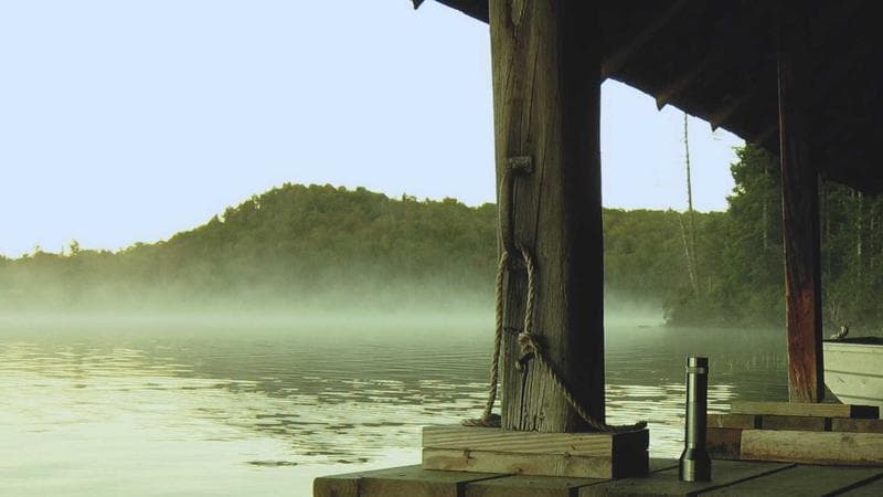 রাশিয়া-ইউক্রেন যুদ্ধ নিয়ে নতুন বিতর্ক (33)