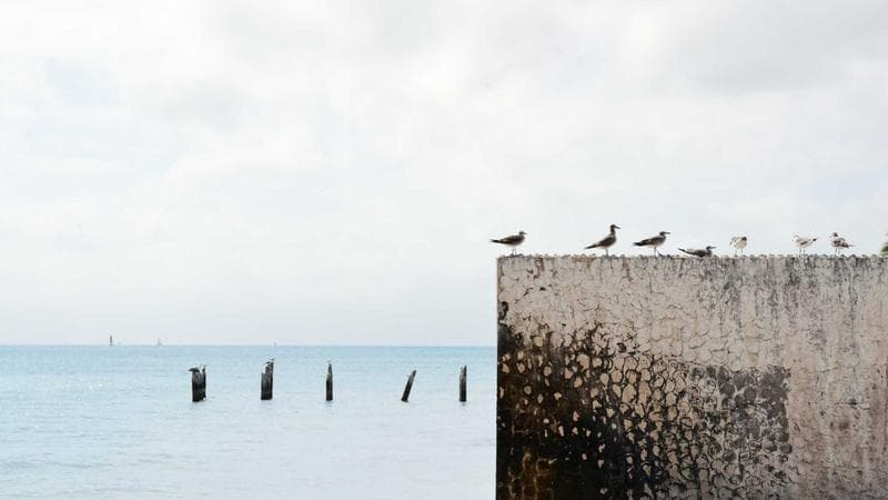 সিংগেল রিলিজ নিয়ে আলোচনা তুঙ্গে (96)