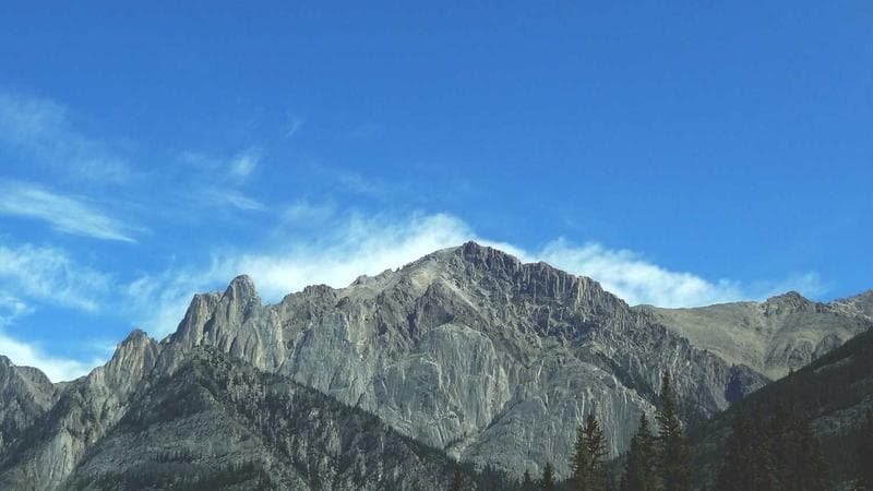 ভারতে নতুন আইন নিয়ে বড় খবর (44)