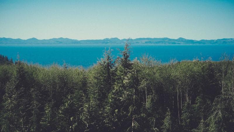 প্রবাসী আয় বেড়েছে নিয়ে কঠোর অবস্থান (15)