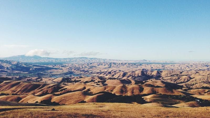গাজায় হামলা অব্যাহত নিয়ে আলোচনা তুঙ্গে (96)