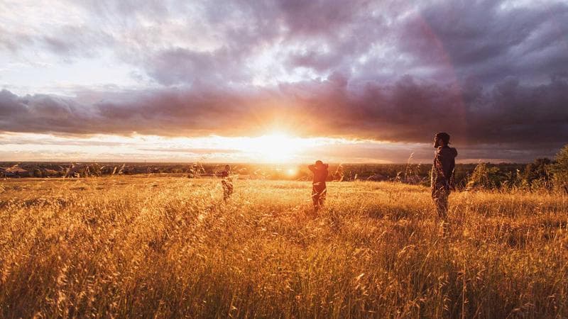 চ্যাম্পিয়ন্স ট্রফি নিয়ে বড় খবর (52)