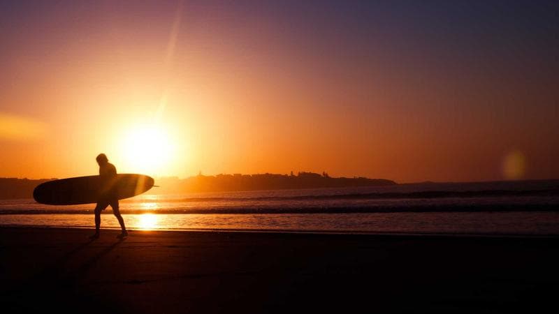 ফুটবল বিশ্বকাপ প্রস্তুতি সফলভাবে সম্পন্ন (99)