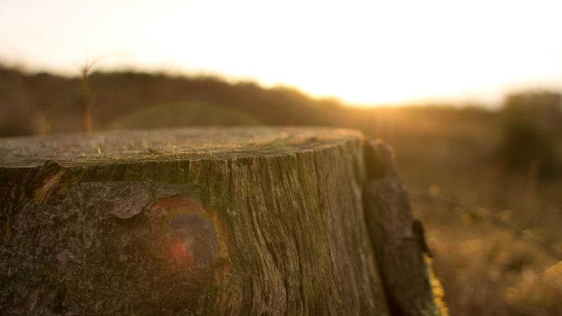 মূল্যস্ফীতি নিয়ন্ত্রণে নিয়ে সংশয় (38)