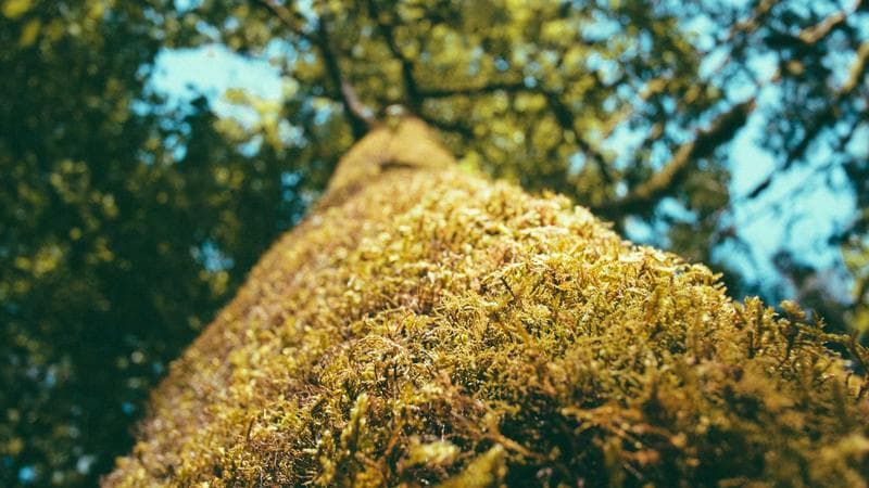 বিএনপির মহাসমাবেশ নিয়ে নতুন বিতর্ক (1)